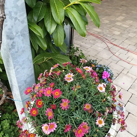 Apartment Mary Trogir